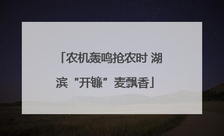 农机轰鸣抢农时 湖滨“开镰”麦飘香